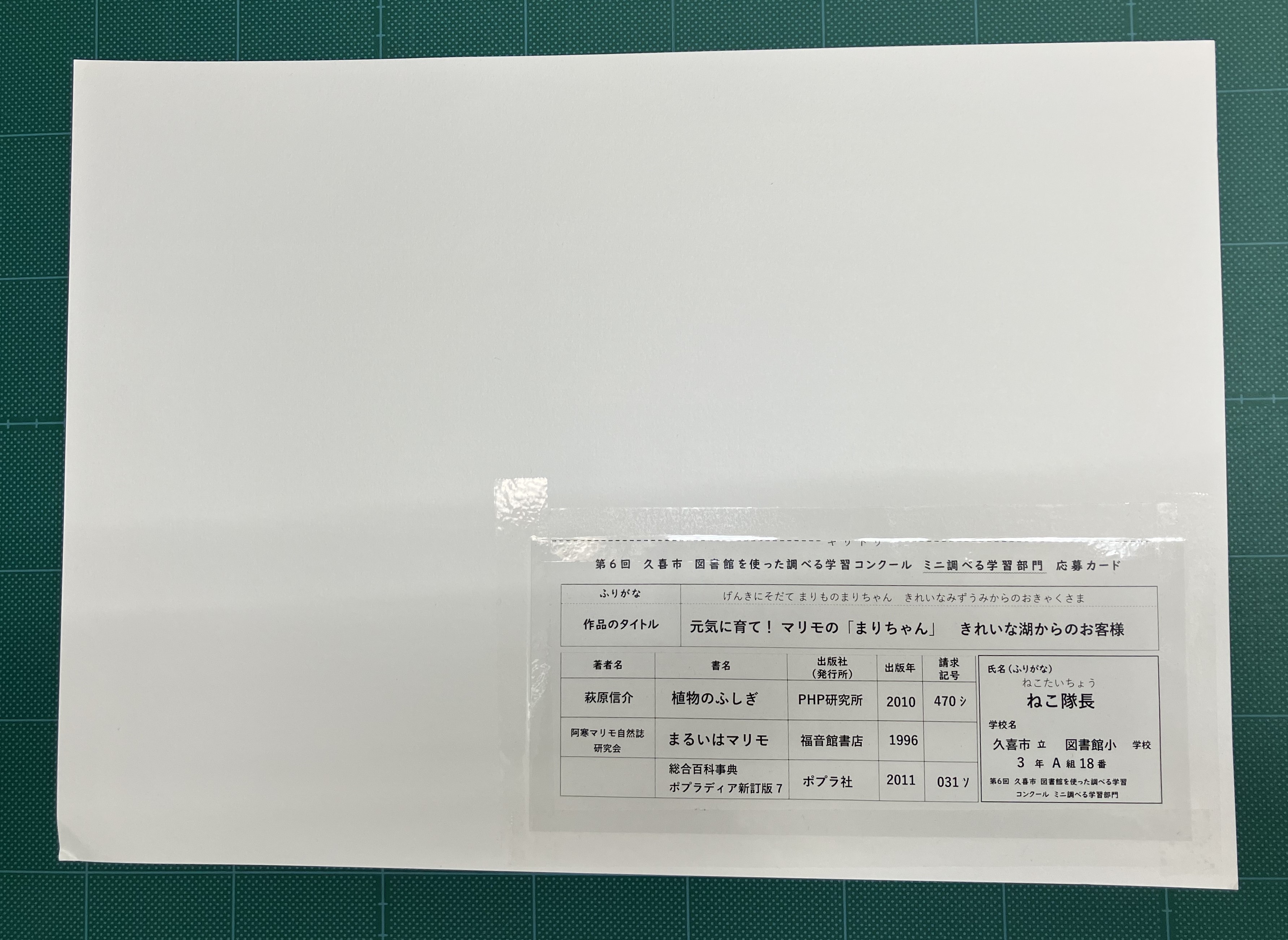 応募カードは裏面右下に